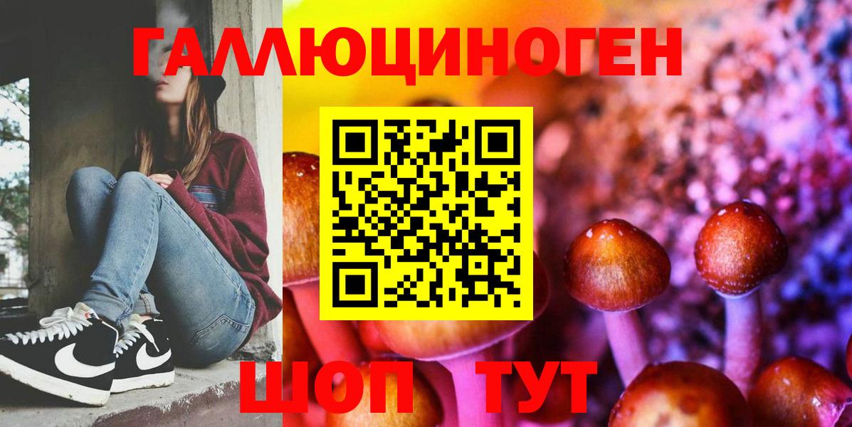 Псилоцибиновые грибы GOLDEN TEACHER Сосновый Бор
