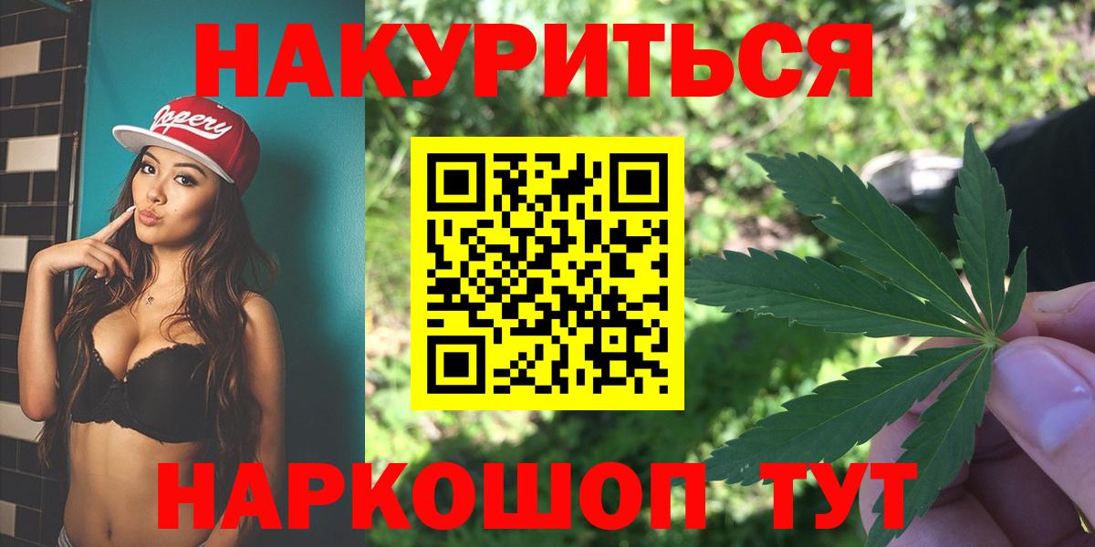 Конопля планчик Сосновый Бор